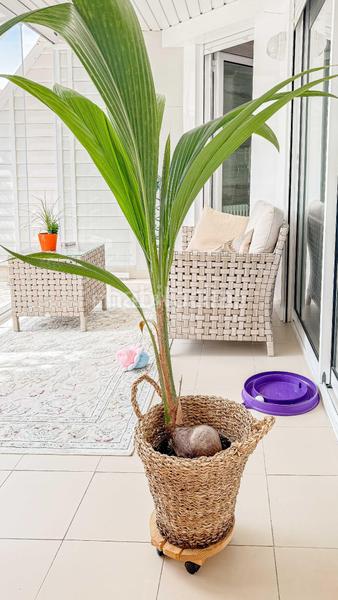 Foto aa8d4367-4d3d-47d2-8eaa-baeec694d598. Location appartement avec chauffage parking piscine dans Sitges Foto aa8d4367-4d3d-47d2-8eaa-baeec694d598. Location appartement avec chauffage parking piscine dans Sitges