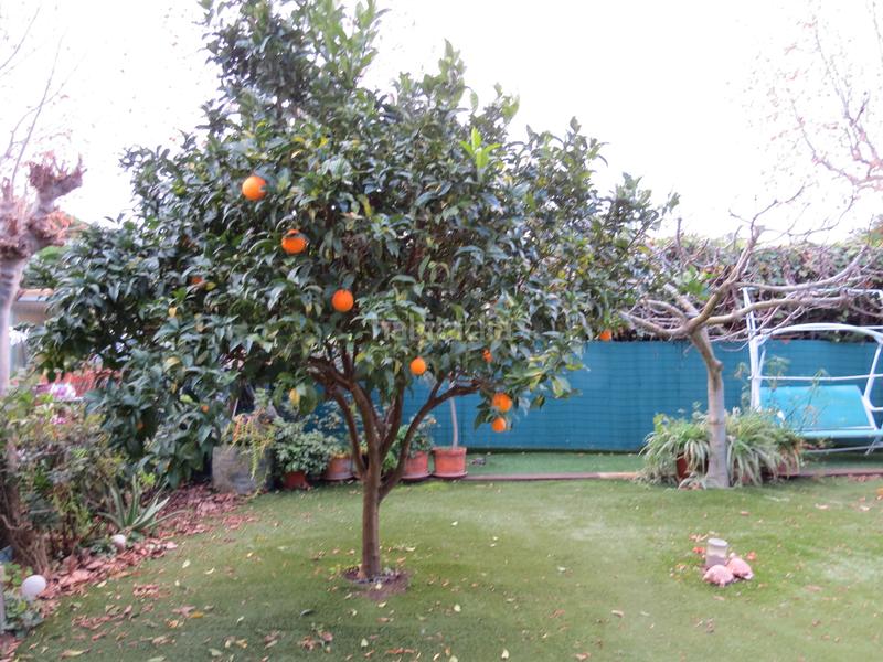 Foto 7d9503b1-2c75-42d4-a312-1f31e6dd0285. Lloguer casa adossada amb xemeneia calefacció aparcament a Sant Vicenç de Montalt Foto 7d9503b1-2c75-42d4-a312-1f31e6dd0285. Lloguer casa adossada amb xemeneia calefacció aparcament a Sant Vicenç de Montalt