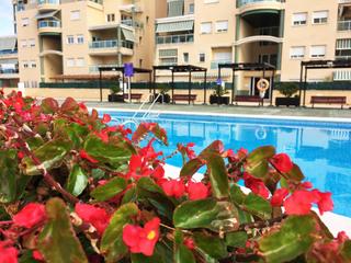 Tríplex a Avenida del grau 152. Espectacular tríplex en residencial les foies grau de gandía Tríplex a Avenida del grau 152. Espectacular tríplex en residencial les foies grau de gandía