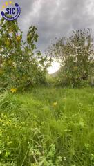 Rural plot in Travesía del polígono industrial 2 37 Rural plot in Travesía del polígono industrial 2 37