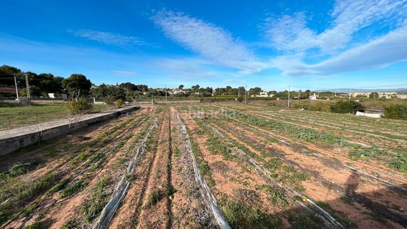 Foto 892741ec-9574-4f78-9db4-6a68332cbcc7. Finca rústica a Camí de Paterna-Lloma del Calderer Bétera Foto 892741ec-9574-4f78-9db4-6a68332cbcc7. Finca rústica a Camí de Paterna-Lloma del Calderer Bétera