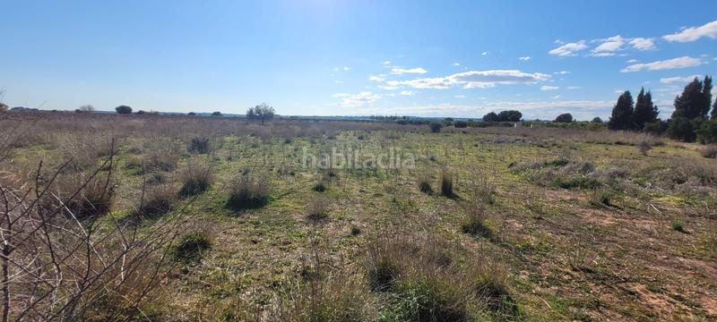 Foto 0ea54951-7c9e-4623-95fa-aebe1f8fbb9f. Fondo rustico in Los Pinares-La Masia Bétera Foto 0ea54951-7c9e-4623-95fa-aebe1f8fbb9f. Fondo rustico in Los Pinares-La Masia Bétera