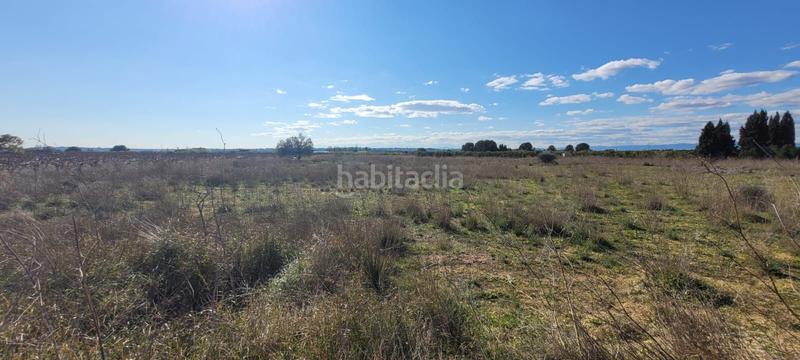 Foto 75e30f56-63c0-452b-989d-8699ba1bd109. Fondo rustico in Los Pinares-La Masia Bétera Foto 75e30f56-63c0-452b-989d-8699ba1bd109. Fondo rustico in Los Pinares-La Masia Bétera