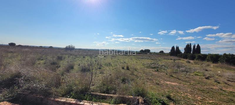 Foto 283038bc-c620-48b3-89ab-f0fcf99dedcb. Finca rústica en Los Pinares-La Masia Bétera Foto 283038bc-c620-48b3-89ab-f0fcf99dedcb. Finca rústica en Los Pinares-La Masia Bétera