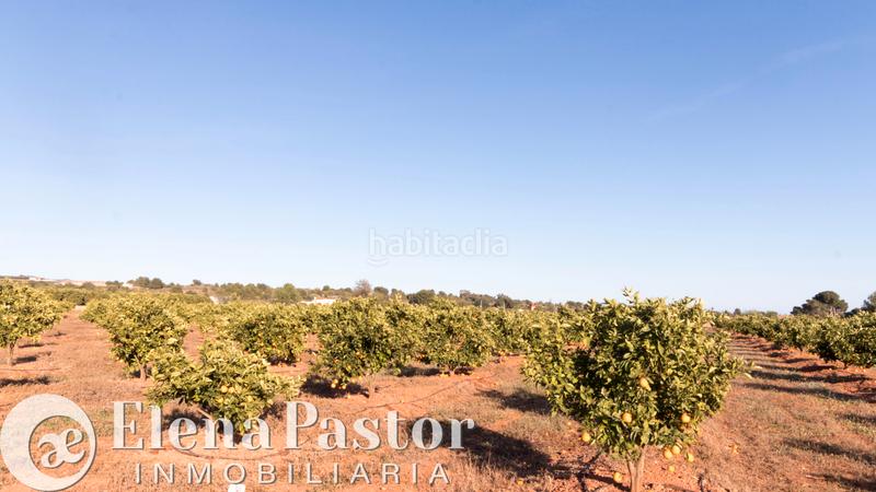 Foto 28fc49ed-713e-4be7-b55a-f98de4e9f054. Propriété dans Los Pinares-La Masia Bétera Foto 28fc49ed-713e-4be7-b55a-f98de4e9f054. Propriété dans Los Pinares-La Masia Bétera