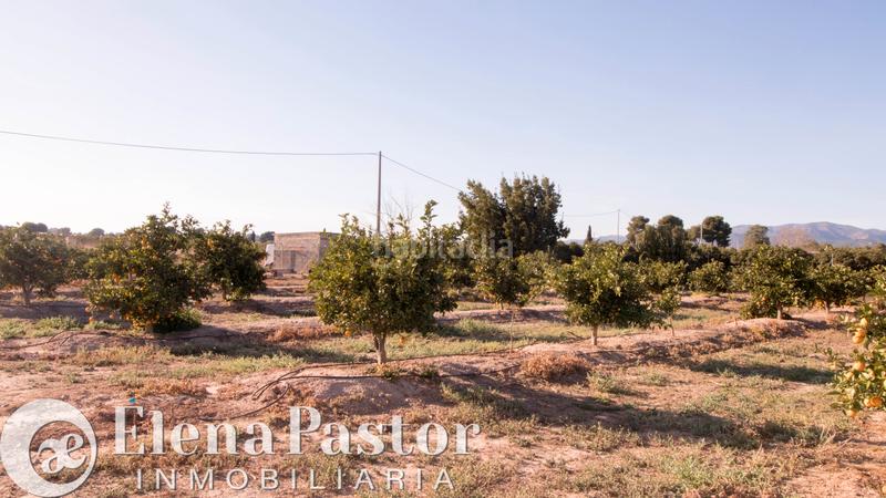 Foto 498e248e-589c-4320-be21-0b7837ce3c5c. Propriété dans Los Pinares-La Masia Bétera Foto 498e248e-589c-4320-be21-0b7837ce3c5c. Propriété dans Los Pinares-La Masia Bétera
