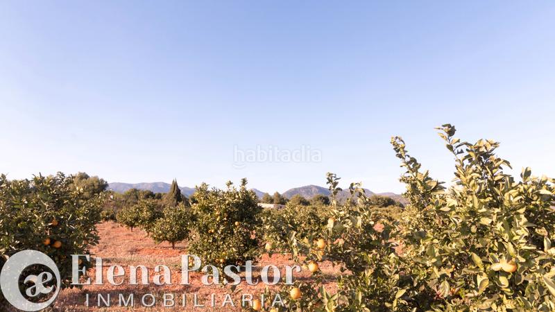 Foto 5edc9c4b-a313-4c77-8802-32aaaa69c86d. Propriété dans Los Pinares-La Masia Bétera Foto 5edc9c4b-a313-4c77-8802-32aaaa69c86d. Propriété dans Los Pinares-La Masia Bétera