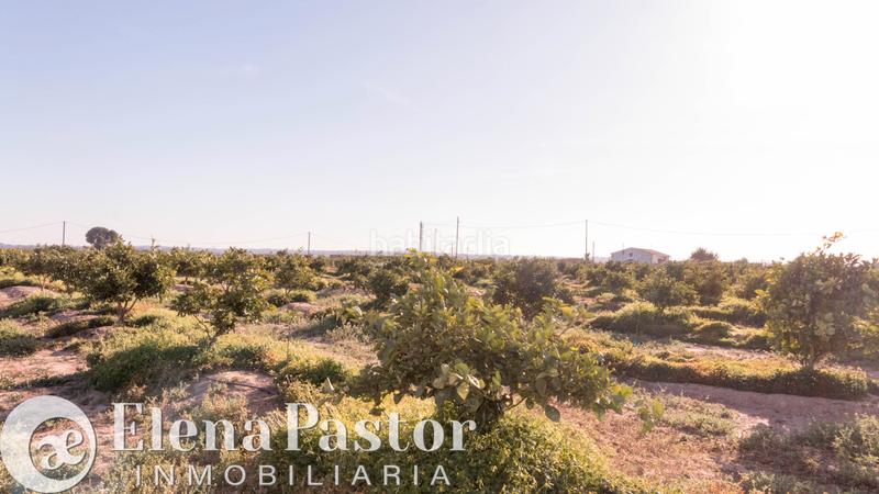 Foto 88d0f7c2-c4ff-4897-a991-77289cda220d. Propriété dans Los Pinares-La Masia Bétera Foto 88d0f7c2-c4ff-4897-a991-77289cda220d. Propriété dans Los Pinares-La Masia Bétera