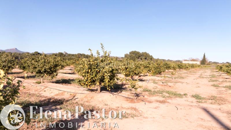 Foto 9bbb8da5-3153-4764-aa63-d53f3382cec1. Propriété dans Los Pinares-La Masia Bétera Foto 9bbb8da5-3153-4764-aa63-d53f3382cec1. Propriété dans Los Pinares-La Masia Bétera