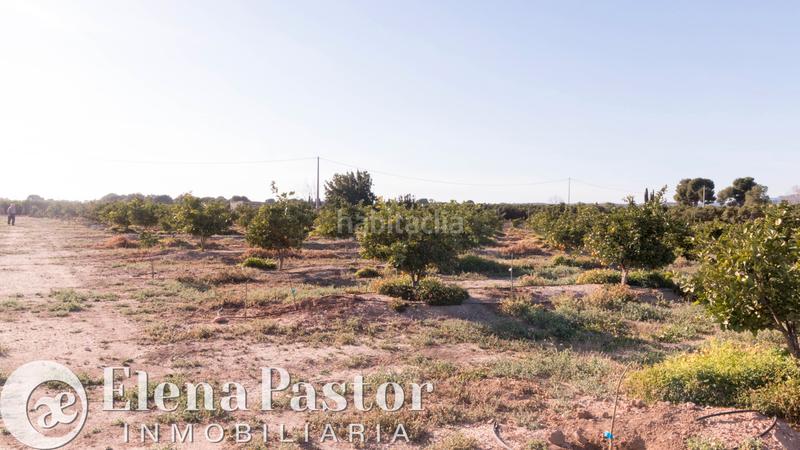 Foto adea8e39-47b9-4240-bbc2-c9857ca0029e. Propriété dans Los Pinares-La Masia Bétera Foto adea8e39-47b9-4240-bbc2-c9857ca0029e. Propriété dans Los Pinares-La Masia Bétera