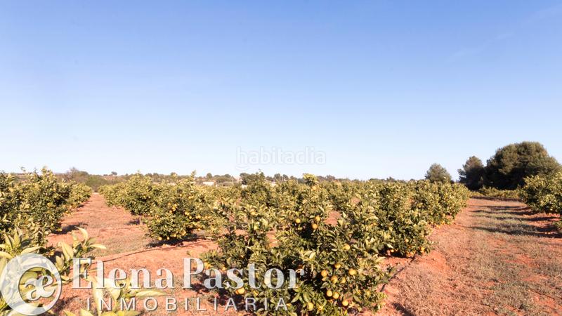 Foto b1f928b8-1013-4da9-8f43-19cf6e8fe587. Propriété dans Los Pinares-La Masia Bétera Foto b1f928b8-1013-4da9-8f43-19cf6e8fe587. Propriété dans Los Pinares-La Masia Bétera
