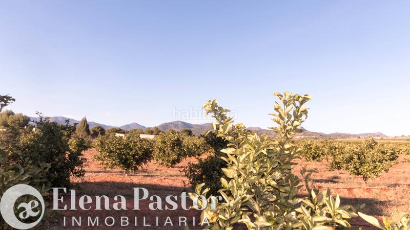 Foto c8155dd4-0ce7-4d79-814a-5885ff8e3fa5. Propriété dans Los Pinares-La Masia Bétera Foto c8155dd4-0ce7-4d79-814a-5885ff8e3fa5. Propriété dans Los Pinares-La Masia Bétera