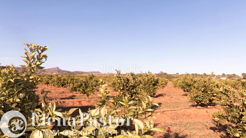 Foto d0cee17f-ecf2-41d9-8a36-de819146f48f. Propriété dans Los Pinares-La Masia Bétera Foto d0cee17f-ecf2-41d9-8a36-de819146f48f. Propriété dans Los Pinares-La Masia Bétera
