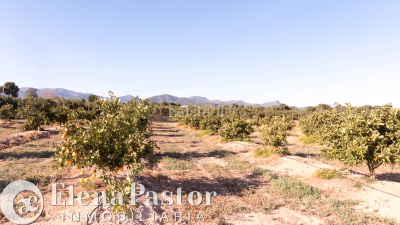 Foto db355745-8f5a-4eb9-923b-2d9a25bf0fda. Propriété dans Los Pinares-La Masia Bétera Foto db355745-8f5a-4eb9-923b-2d9a25bf0fda. Propriété dans Los Pinares-La Masia Bétera