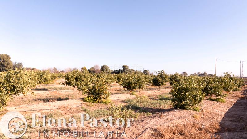 Foto eb875d87-d871-448c-8499-3c65c54ec49c. Propriété dans Los Pinares-La Masia Bétera Foto eb875d87-d871-448c-8499-3c65c54ec49c. Propriété dans Los Pinares-La Masia Bétera