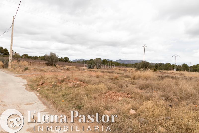 Foto 2617b94c-e4a8-4170-8eac-ca5157e22e0f. Fondo rustico in Los Pinares-La Masia Bétera Foto 2617b94c-e4a8-4170-8eac-ca5157e22e0f. Fondo rustico in Los Pinares-La Masia Bétera