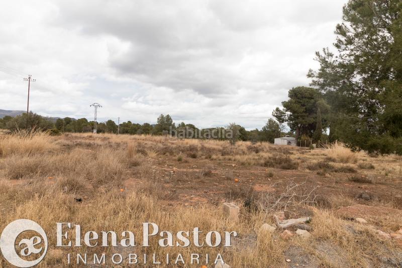 Foto 62fb7d84-550e-4c50-8256-0ca7b5b09762. Fondo rustico in Los Pinares-La Masia Bétera Foto 62fb7d84-550e-4c50-8256-0ca7b5b09762. Fondo rustico in Los Pinares-La Masia Bétera
