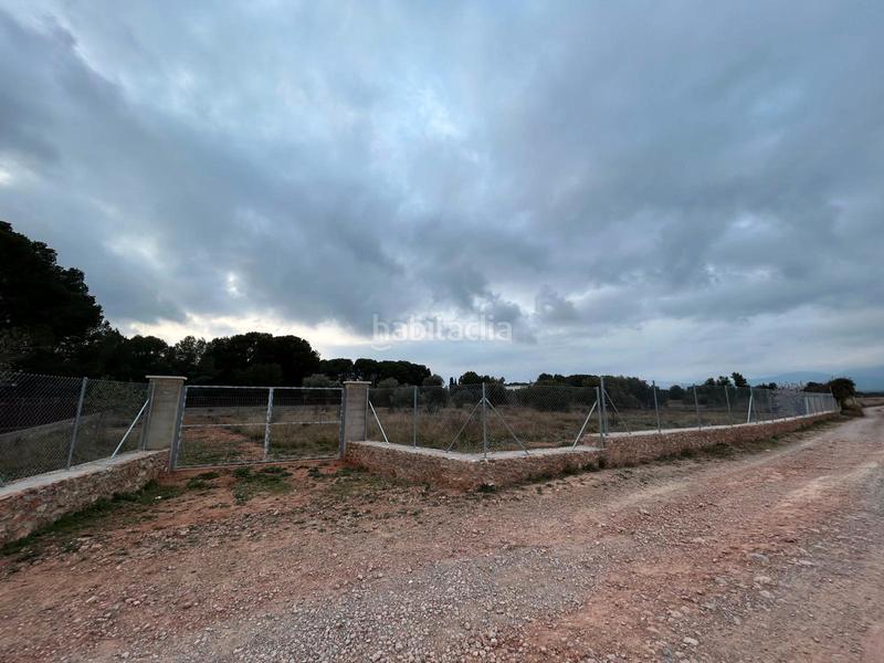 Foto 1a3428da-54b7-4473-aba9-1a9b194578b0. Fondo rustico in Los Pinares-La Masia Bétera Foto 1a3428da-54b7-4473-aba9-1a9b194578b0. Fondo rustico in Los Pinares-La Masia Bétera