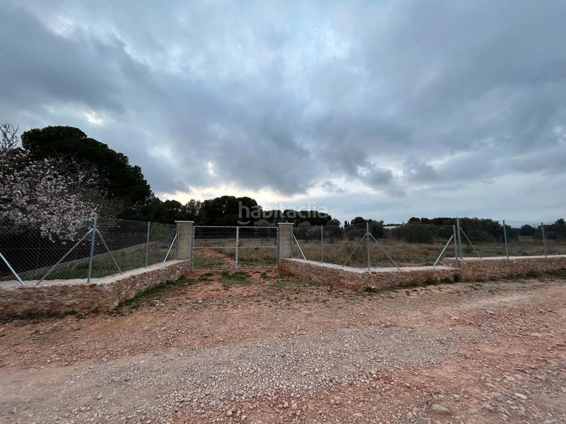Foto c82a7a00-444e-474e-a57d-baa6c7d0c3ad. Fondo rustico in Los Pinares-La Masia Bétera Foto c82a7a00-444e-474e-a57d-baa6c7d0c3ad. Fondo rustico in Los Pinares-La Masia Bétera