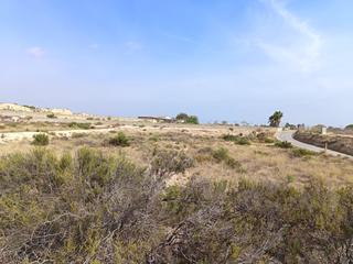 Residential Plot in Cañada del Fenollar. Se vende terreno de 12.000 mts zona cañada cerca de la carret Residential Plot in Cañada del Fenollar. Se vende terreno de 12.000 mts zona cañada cerca de la carret