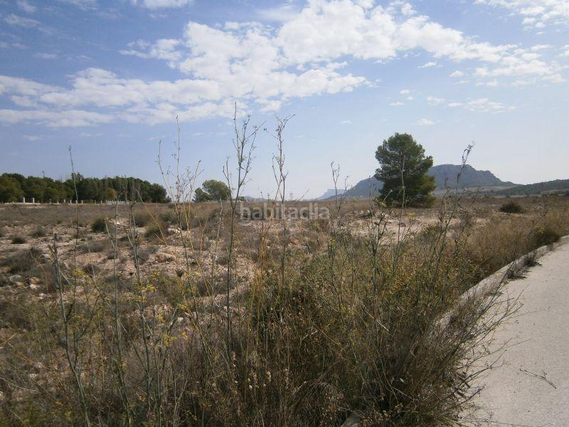 Foto 036a358f-467e-4d4a-b584-1a9e7a22e23a. Finca rústica a Salinas Foto 036a358f-467e-4d4a-b584-1a9e7a22e23a. Finca rústica a Salinas