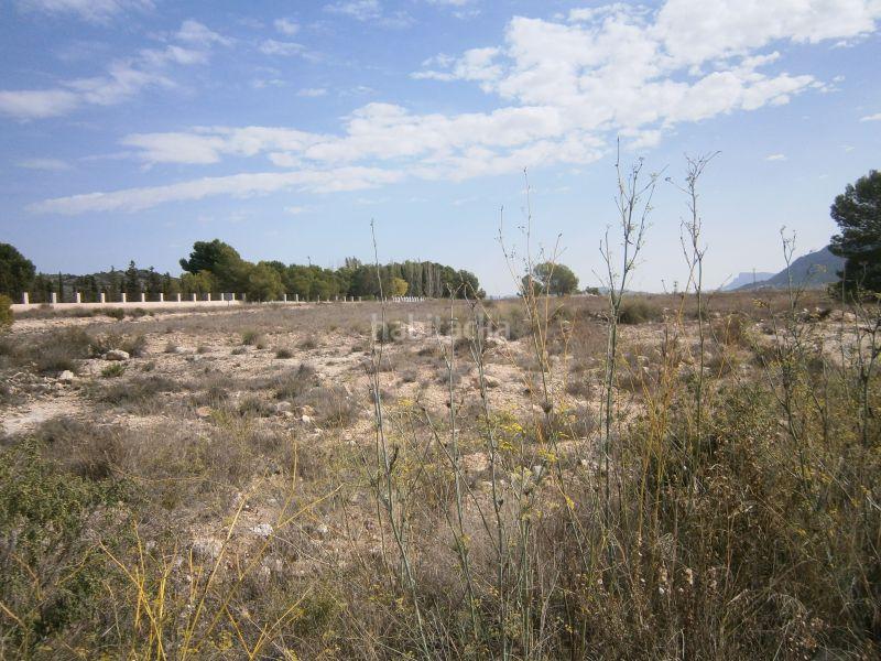 Foto c879eb93-e07a-4c10-809c-990776a8d2b0. Finca rústica a Salinas Foto c879eb93-e07a-4c10-809c-990776a8d2b0. Finca rústica a Salinas