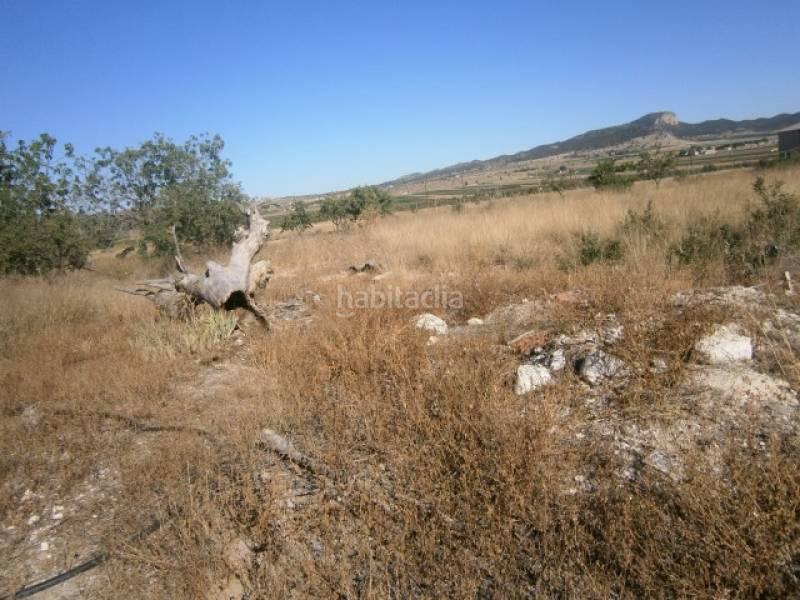 Foto 6e619a75-d787-4440-9c09-d523f94ce75b. Masia a Monòver Foto 6e619a75-d787-4440-9c09-d523f94ce75b. Masia a Monòver