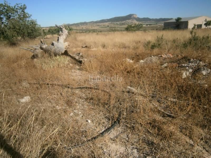 Foto da3336ca-5110-4a92-913b-7516446f2b7e. Masia a Monòver Foto da3336ca-5110-4a92-913b-7516446f2b7e. Masia a Monòver