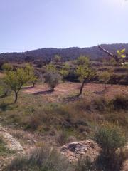 Residential Plot in Monòver. Terreno urbanizable Residential Plot in Monòver. Terreno urbanizable