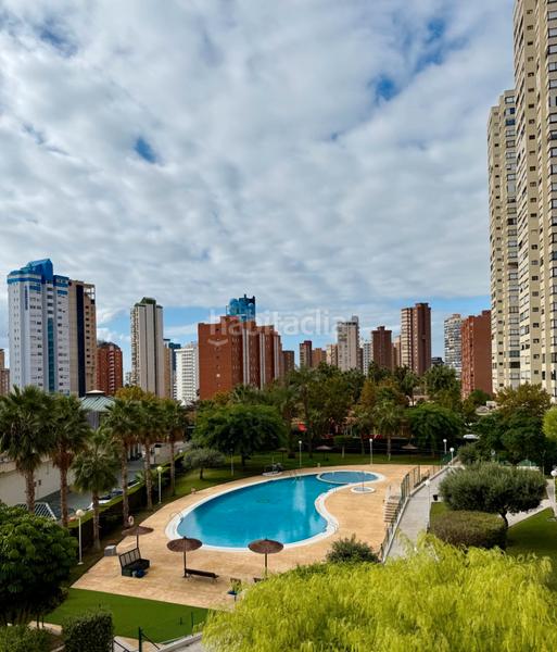 Foto ce11e74a-33ef-42f8-b628-e46360378a5e. Pis amb aparcament piscina a Levante Alto Benidorm Foto ce11e74a-33ef-42f8-b628-e46360378a5e. Pis amb aparcament piscina a Levante Alto Benidorm