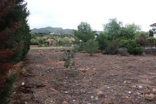 Terrain résidentiel Urbanización alfinach. Parcela en alfinach Terrain résidentiel Urbanización alfinach. Parcela en alfinach