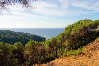 Terreny residencial a Serra Brava. Oportunidad única de inversión en lloret de mar! Terreny residencial a Serra Brava. Oportunidad única de inversión en lloret de mar!