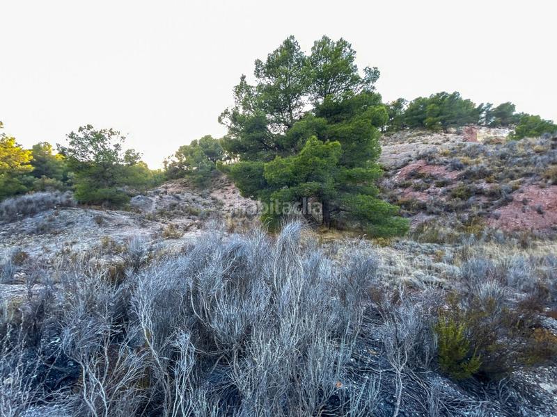 Foto 12919c54-e817-4113-b993-d845ead8b1cb. Finca rústica a Castalla Foto 12919c54-e817-4113-b993-d845ead8b1cb. Finca rústica a Castalla