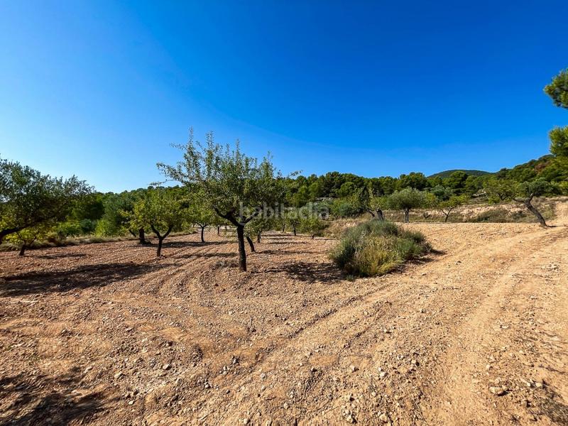 Foto 4beec5c6-545b-45e4-a3da-ffbd588aa6e5. Finca rústica a Castalla Foto 4beec5c6-545b-45e4-a3da-ffbd588aa6e5. Finca rústica a Castalla