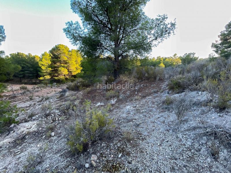 Foto 5f1cc470-e580-4856-9b78-c10a8414a022. Finca rústica a Castalla Foto 5f1cc470-e580-4856-9b78-c10a8414a022. Finca rústica a Castalla
