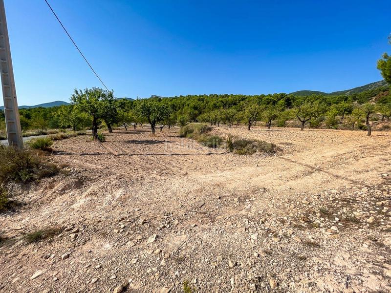 Foto 6bcb82fa-ad7a-4cce-ba7f-02a9a787cb95. Finca rústica a Castalla Foto 6bcb82fa-ad7a-4cce-ba7f-02a9a787cb95. Finca rústica a Castalla