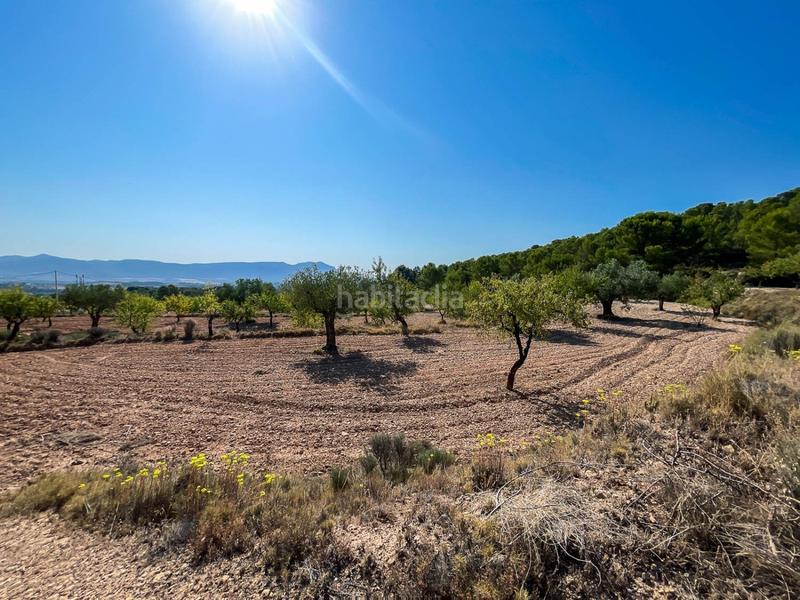 Foto bef36ea4-9a72-414e-b876-15abe25e6b79. Finca rústica a Castalla Foto bef36ea4-9a72-414e-b876-15abe25e6b79. Finca rústica a Castalla