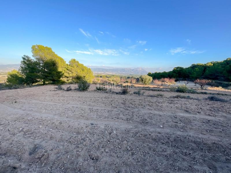 Foto c0e3f2c5-46ab-44cb-b06f-ad3bd7b7daa1. Finca rústica a Castalla Foto c0e3f2c5-46ab-44cb-b06f-ad3bd7b7daa1. Finca rústica a Castalla