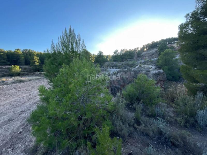 Foto d1e200c9-95aa-4be6-95d9-d148b594d9e4. Finca rústica a Castalla Foto d1e200c9-95aa-4be6-95d9-d148b594d9e4. Finca rústica a Castalla