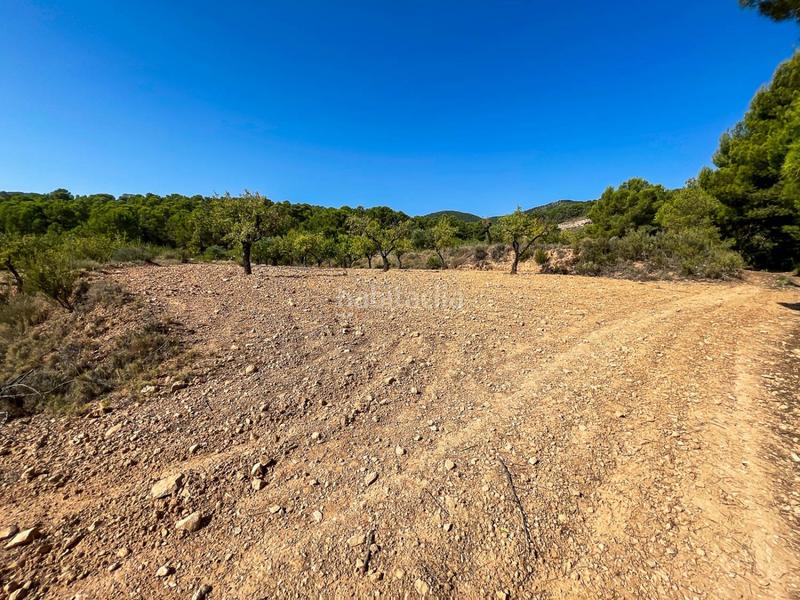 Foto d56ae940-1f6f-4571-a4c7-fae065dbca37. Finca rústica a Castalla Foto d56ae940-1f6f-4571-a4c7-fae065dbca37. Finca rústica a Castalla