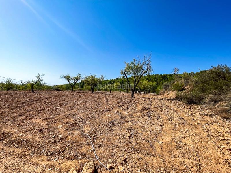 Foto ea298db3-41af-496c-b8e7-2cbecf56ea63. Finca rústica a Castalla Foto ea298db3-41af-496c-b8e7-2cbecf56ea63. Finca rústica a Castalla