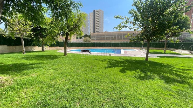 Foto 8c10b33e-3975-4cd5-9ca5-2fdd712bde32. Piso espectacular piso en la cala en Playa Poniente Benidorm Foto 8c10b33e-3975-4cd5-9ca5-2fdd712bde32. Piso espectacular piso en la cala en Playa Poniente Benidorm