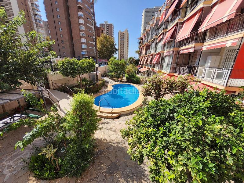 Foto cc0f655f-c367-40b8-b074-c9eb5f2097eb. Appartamento con riscaldamento piscina in Playa Levante Benidorm Foto cc0f655f-c367-40b8-b074-c9eb5f2097eb. Appartamento con riscaldamento piscina in Playa Levante Benidorm
