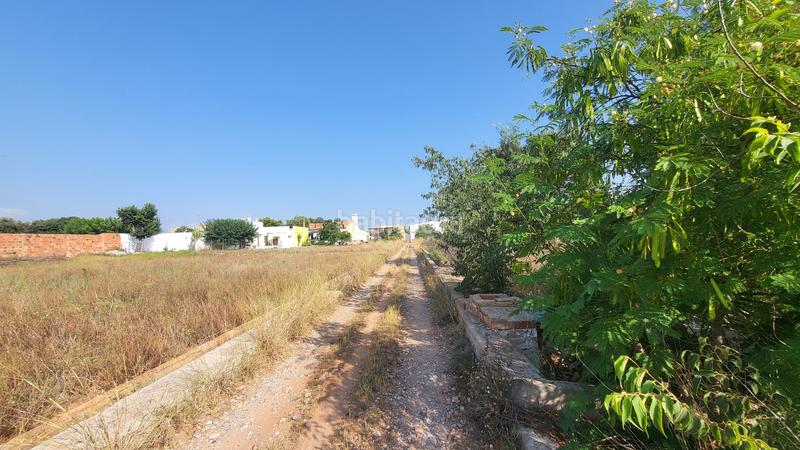 Foto e539c935-b36d-4896-ad0f-b50264997800. Terreno residencial parcela de 1.662 m² en Madrigal Villarreal / Vila - real Foto e539c935-b36d-4896-ad0f-b50264997800. Terreno residencial parcela de 1.662 m² en Madrigal Villarreal / Vila - real