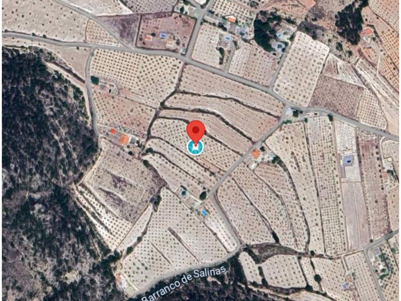 Foto 6ab728cd-c945-4313-b734-b025b91e61e4. Finca rústica a 12 12 a Sax Foto 6ab728cd-c945-4313-b734-b025b91e61e4. Finca rústica a 12 12 a Sax