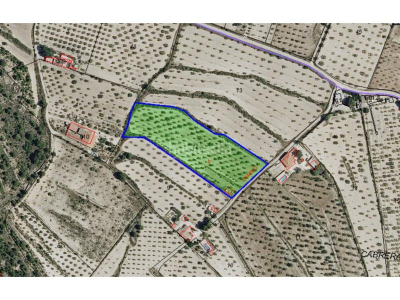 Foto d77282d7-d464-4977-93b6-027b5161a6e7. Finca rústica a 12 12 a Sax Foto d77282d7-d464-4977-93b6-027b5161a6e7. Finca rústica a 12 12 a Sax