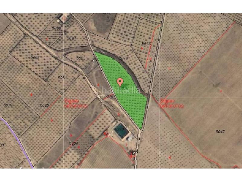 Foto 244e0666-b39c-411f-8a39-49d32f8a25c8. Finca rústica en 2 5075 finca rústica con olivos en Caudete Foto 244e0666-b39c-411f-8a39-49d32f8a25c8. Finca rústica en 2 5075 finca rústica con olivos en Caudete