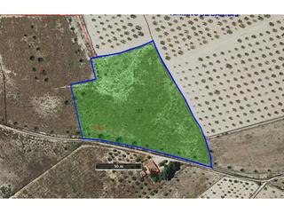 Finca rústica 6. Terreno en venta en salinas Finca rústica 6. Terreno en venta en salinas