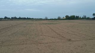 Finca rústica Partida arroba de madriguera. Parcela de 10,000m2 Finca rústica Partida arroba de madriguera. Parcela de 10,000m2