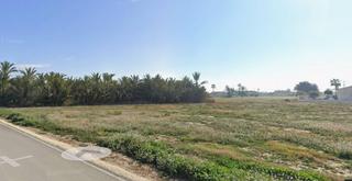 Residential Plot  Cam. lo chicharra. Terreno rustico Residential Plot  Cam. lo chicharra. Terreno rustico